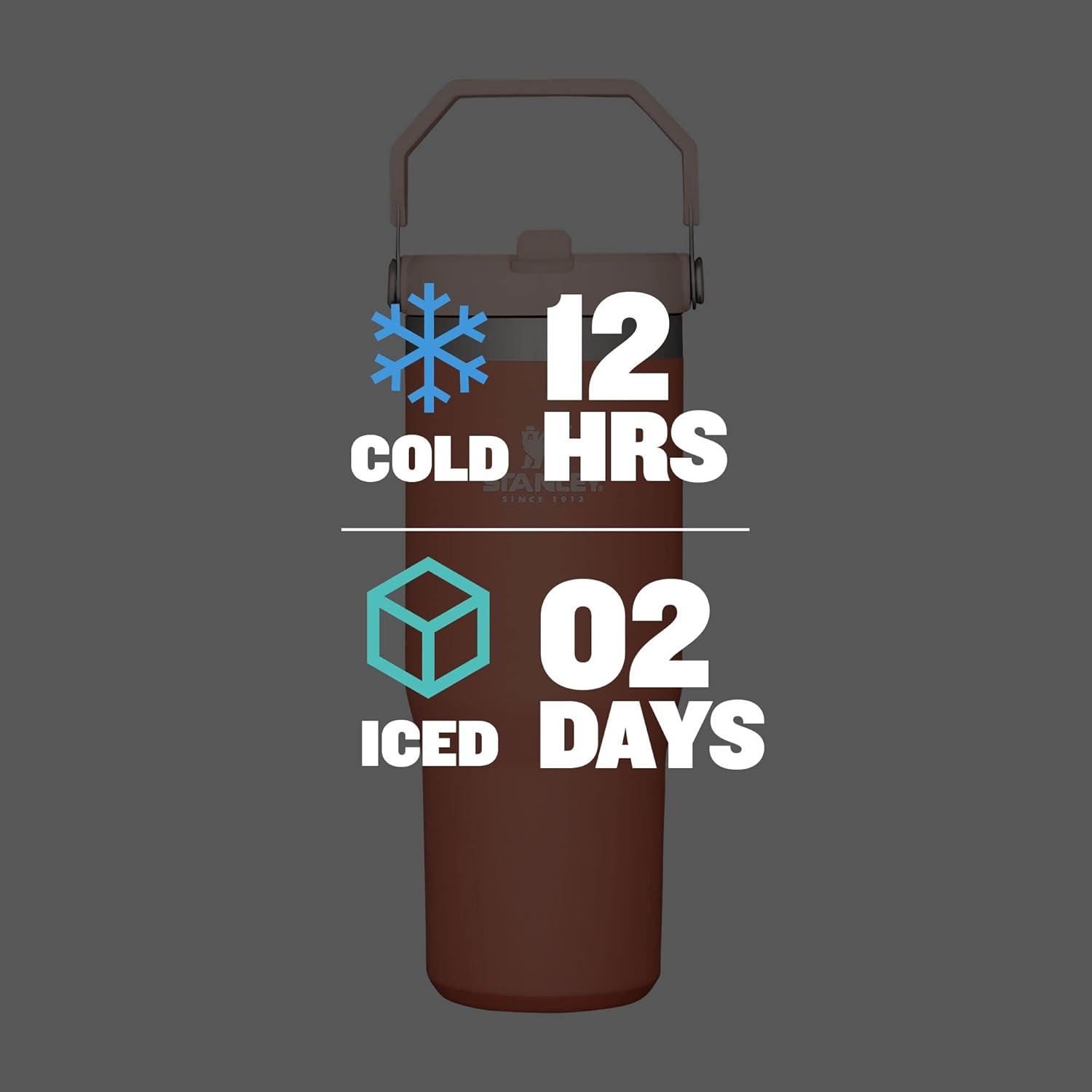 imageSTANLEY IceFlow 20 Flip Straw Tumbler with Handle 30 oz Twist On Lid and Flip Up Straw Leak Resistant Water Bottle Insulated Stainless Steel BPAFree HydrangeaGrapefruit