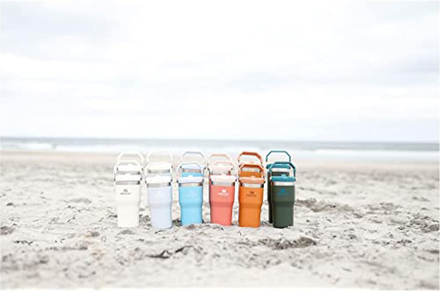 imageSTANLEY IceFlow 20 Flip Straw Tumbler with Handle 30 oz Twist On Lid and Flip Up Straw Leak Resistant Water Bottle Insulated Stainless Steel BPAFree HydrangeaCloud