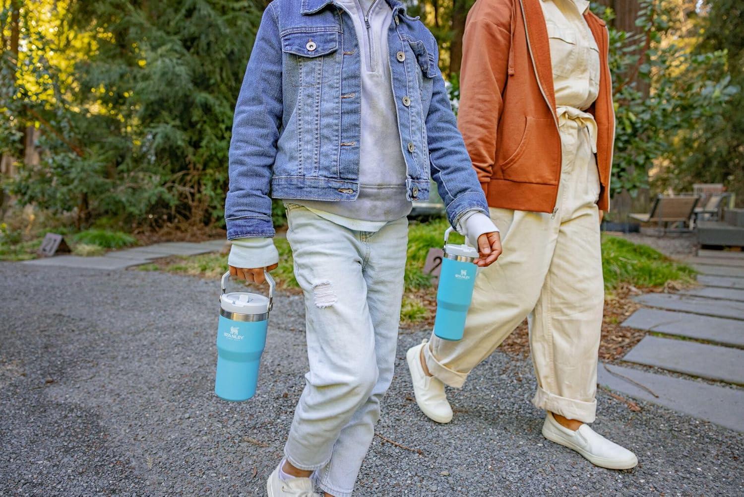 imageSTANLEY IceFlow 20 Flip Straw Tumbler with Handle 30 oz Twist On Lid and Flip Up Straw Leak Resistant Water Bottle Insulated Stainless Steel BPAFree HydrangeaPool