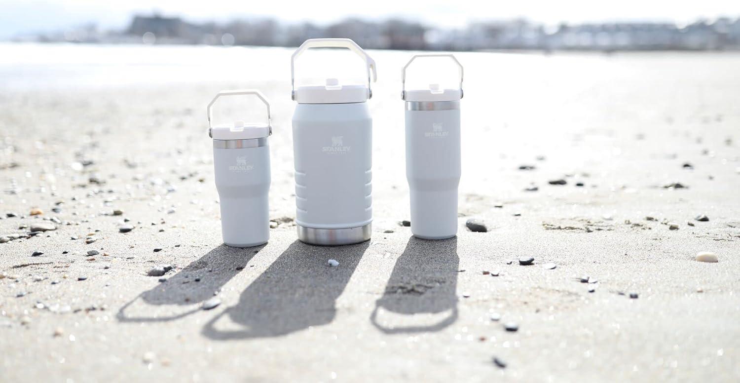 imageSTANLEY IceFlow 20 Flip Straw Tumbler with Handle 30 oz Twist On Lid and Flip Up Straw Leak Resistant Water Bottle Insulated Stainless Steel BPAFree HydrangeaCloud