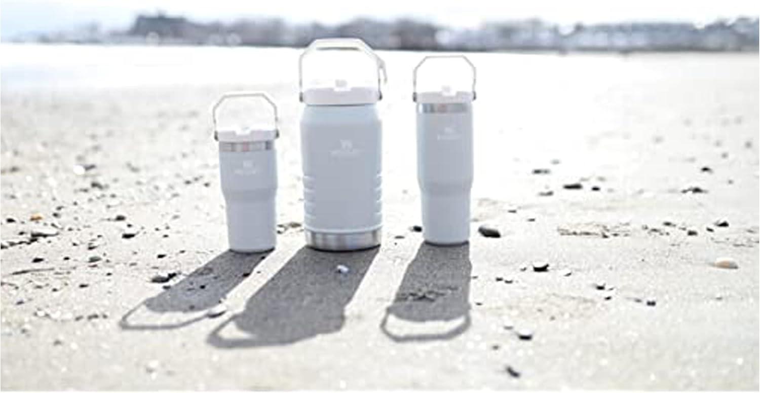 imageSTANLEY IceFlow 20 Flip Straw Tumbler with Handle 30 oz Twist On Lid and Flip Up Straw Leak Resistant Water Bottle Insulated Stainless Steel BPAFree HydrangeaCloud