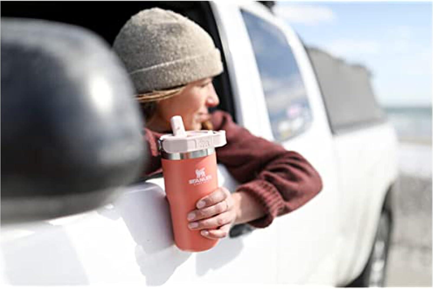 imageSTANLEY IceFlow 20 Flip Straw Tumbler with Handle 30 oz Twist On Lid and Flip Up Straw Leak Resistant Water Bottle Insulated Stainless Steel BPAFree HydrangeaGrapefruit