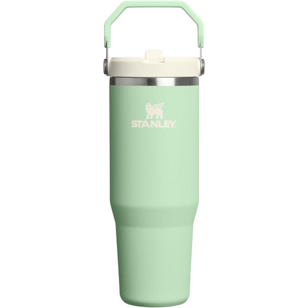 imageSTANLEY IceFlow 20 Flip Straw Tumbler with Handle 30 oz Twist On Lid and Flip Up Straw Leak Resistant Water Bottle Insulated Stainless Steel BPAFree HydrangeaPistachio