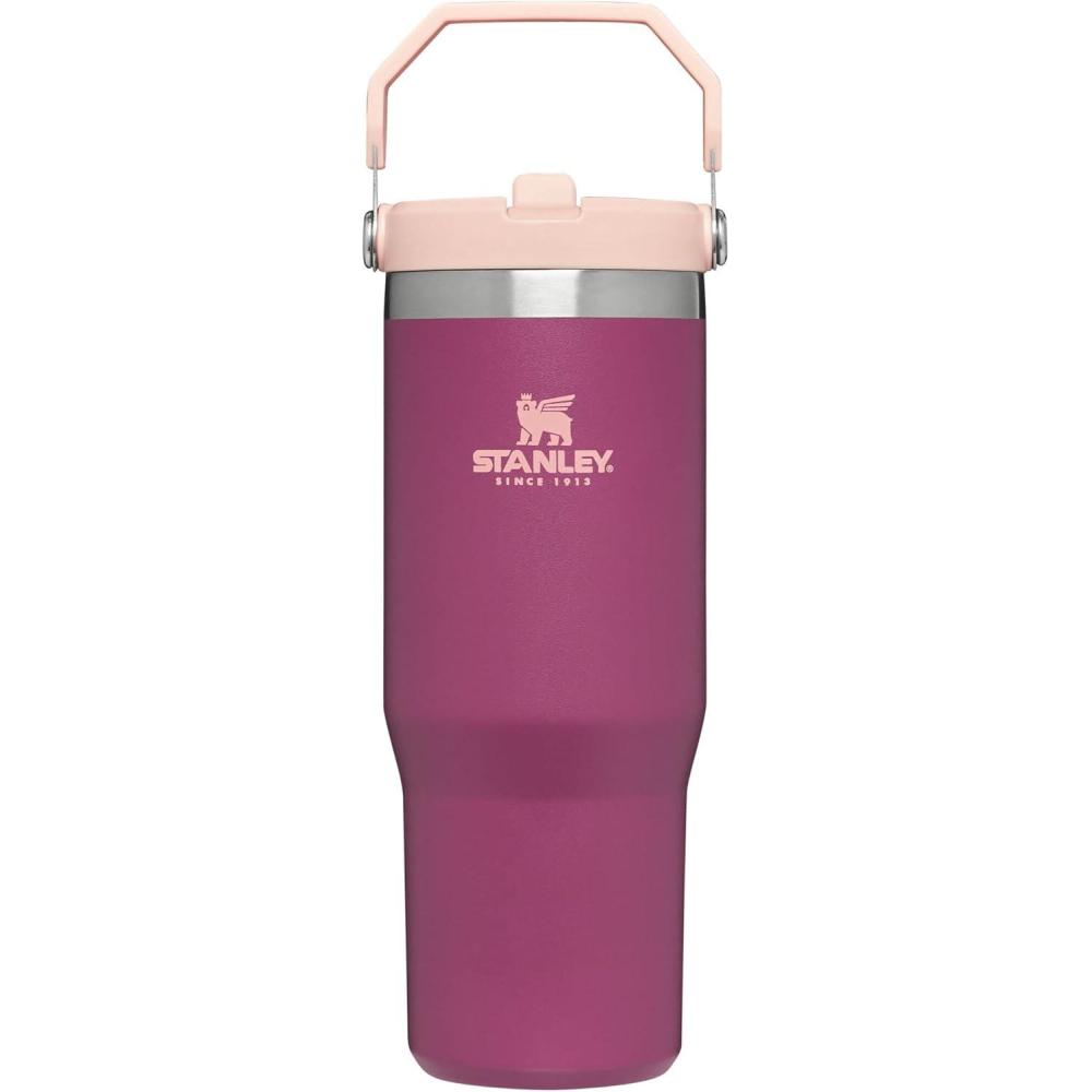 imageSTANLEY IceFlow 20 Flip Straw Tumbler with Handle 30 oz Twist On Lid and Flip Up Straw Leak Resistant Water Bottle Insulated Stainless Steel BPAFree HydrangeaRaspberry