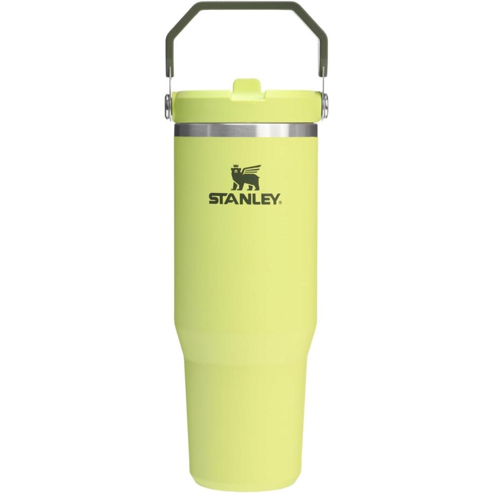 imageSTANLEY IceFlow 20 Flip Straw Tumbler with Handle 30 oz Twist On Lid and Flip Up Straw Leak Resistant Water Bottle Insulated Stainless Steel BPAFree HydrangeaPrickly Pear