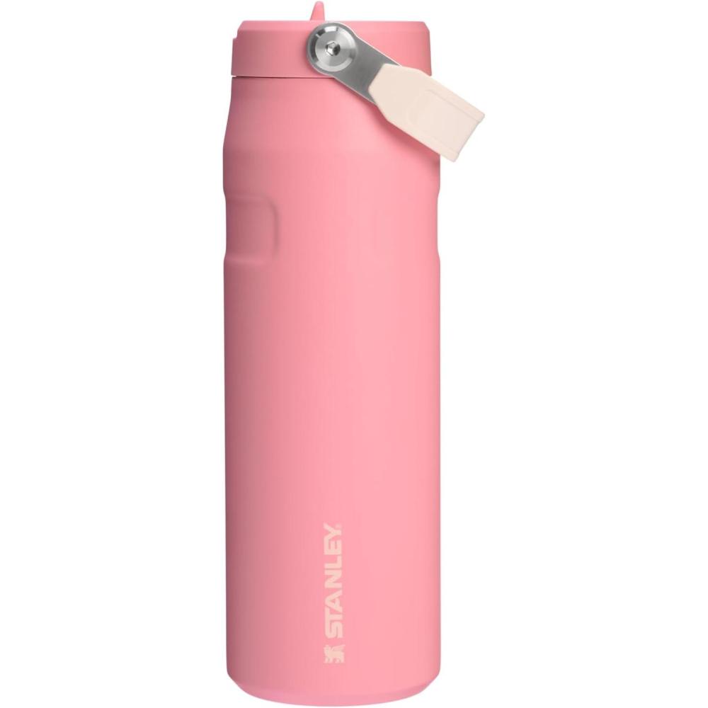 imageSTANLEY IceFlow Flip Straw 20 Water Bottle 24 OZ  BuiltIn Straw with Larger Opening  Lightweight ampamp LeakResistant  Insulated Stainless Steel  BPAFree  Black 20Pink Mesa