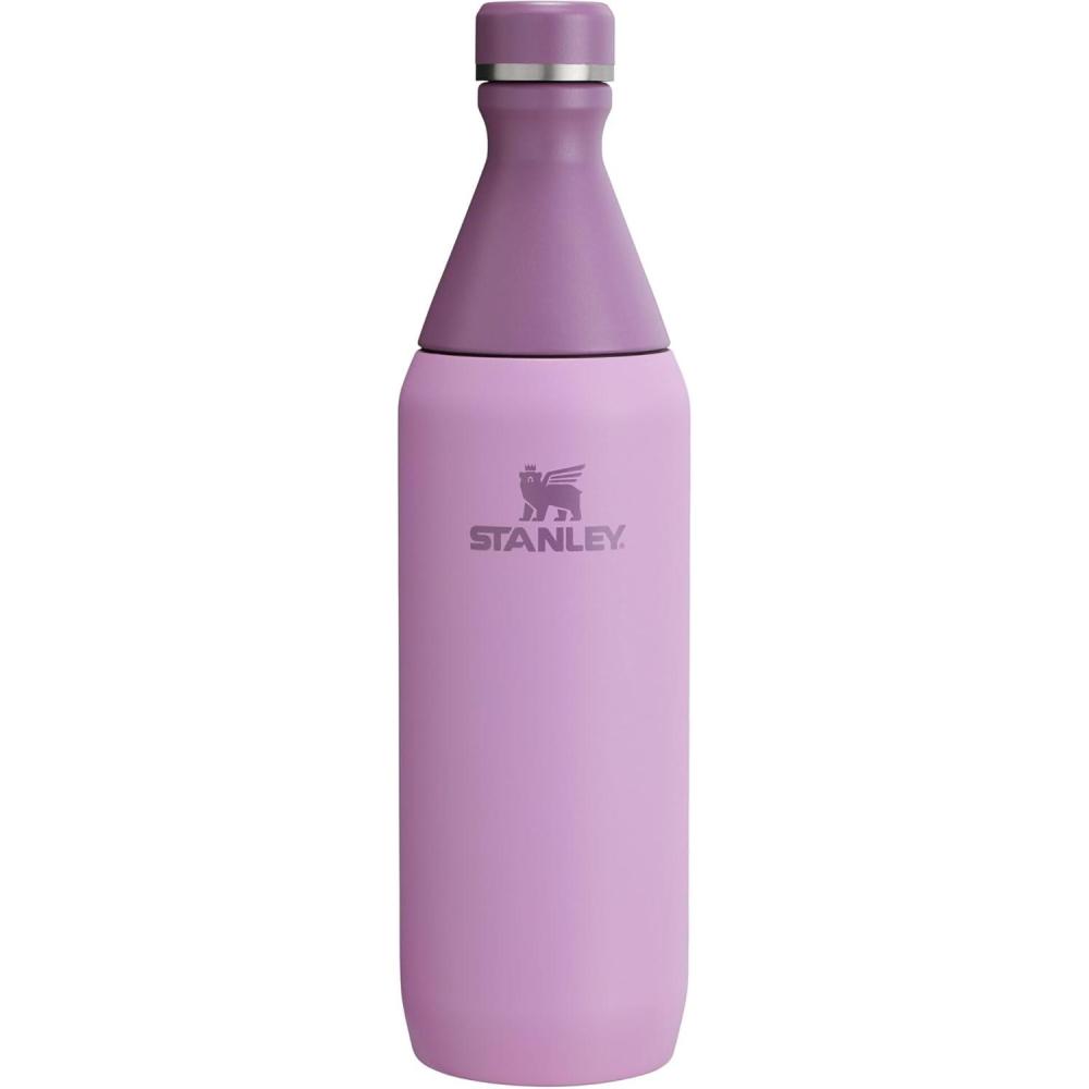 imageStanley All Day Slim Bottle 20 oz  Twist On Lid with Leakproof Seal  Slim Design for Travel ampamp Gym  Insulated Stainless Steel  BPAFree  BlackLilac
