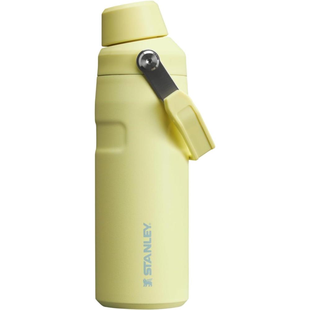 imageStanley IceFlow Fast Flow Water Bottle  Angled Spout Lid  Lightweight ampamp Leakproof for Travel ampamp Sports  Insulated Stainless Steel  BPAFreePomelo