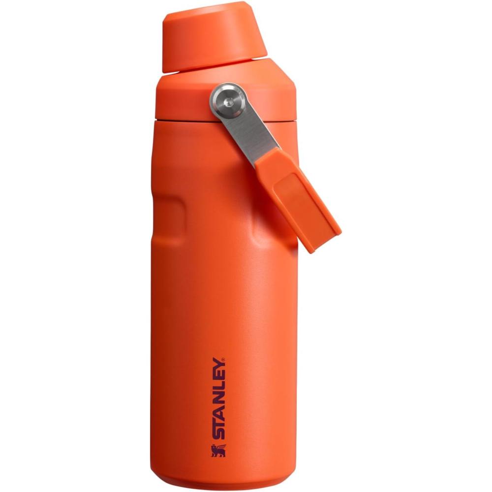 imageStanley IceFlow Fast Flow Water Bottle  Angled Spout Lid  Lightweight ampamp Leakproof for Travel ampamp Sports  Insulated Stainless Steel  BPAFreeTigerlily Plum