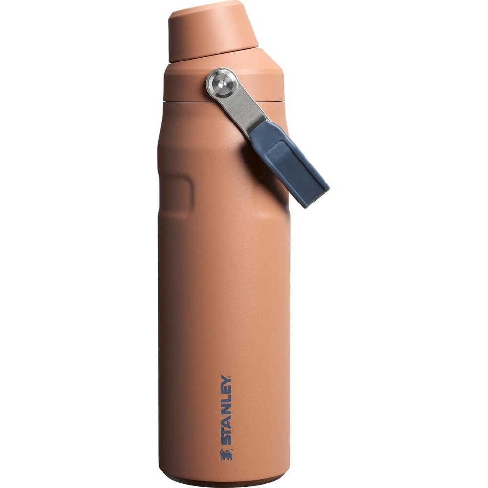 imageStanley IceFlow Fast Flow Water Bottle  Angled Spout Lid  Lightweight ampamp Leakproof for Travel ampamp Sports  Insulated Stainless Steel  BPAFreeToast VRT