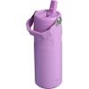 STANLEY IceFlow Flip Straw 2.0 Water Bottle 24 OZ | Built-In Straw with Larger Opening | Lightweight & Leak-Resistant | Insulated Stainless Steel | BPA-Free | Black 2.0(Lilac)