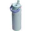 STANLEY IceFlow Flip Straw 2.0 Water Bottle 24 OZ | Built-In Straw with Larger Opening | Lightweight & Leak-Resistant | Insulated Stainless Steel | BPA-Free | Black 2.0(Exclusive Blue Cactus)