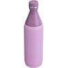 Stanley All Day Slim Bottle 20 oz | Twist On Lid with Leakproof Seal | Slim Design for Travel & Gym | Insulated Stainless Steel | BPA-Free | Black(Lilac)