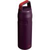 Stanley IceFlow Cap and Carry Water Bottle | Wide Mouth Twist Lid | Lightweight & Leakproof for Travel & Sports | Insulated Stainless Steel | BPA-Free(Plum)