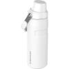 Stanley IceFlow Fast Flow Water Bottle | Angled Spout Lid | Lightweight & Leakproof for Travel & Sports | Insulated Stainless Steel | BPA-Free(Frost)
