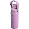 Stanley IceFlow Fast Flow Water Bottle | Angled Spout Lid | Lightweight & Leakproof for Travel & Sports | Insulated Stainless Steel | BPA-Free(Lilac)