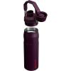 Stanley IceFlow Fast Flow Water Bottle | Angled Spout Lid | Lightweight & Leakproof for Travel & Sports | Insulated Stainless Steel | BPA-Free(Plum)