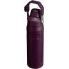 Stanley IceFlow Fast Flow Water Bottle | Angled Spout Lid | Lightweight & Leakproof for Travel & Sports | Insulated Stainless Steel | BPA-Free(Plum)