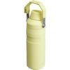 Stanley IceFlow Fast Flow Water Bottle | Angled Spout Lid | Lightweight & Leakproof for Travel & Sports | Insulated Stainless Steel | BPA-Free(Pomelo)