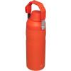 Stanley IceFlow Fast Flow Water Bottle | Angled Spout Lid | Lightweight & Leakproof for Travel & Sports | Insulated Stainless Steel | BPA-Free(Tigerlily)