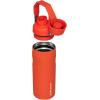 Stanley IceFlow Fast Flow Water Bottle | Angled Spout Lid | Lightweight & Leakproof for Travel & Sports | Insulated Stainless Steel | BPA-Free(Tigerlily)