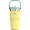 STANLEY IceFlow 2.0 Flip Straw Tumbler with Handle 30 oz | Twist On Lid and Flip Up Straw | Leak Resistant Water Bottle | Insulated Stainless Steel | BPA-Free | Hydrangea(Pomelo)