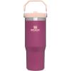 STANLEY IceFlow 2.0 Flip Straw Tumbler with Handle 30 oz | Twist On Lid and Flip Up Straw | Leak Resistant Water Bottle | Insulated Stainless Steel | BPA-Free | Hydrangea(Raspberry)