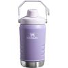 STANLEY IceFlow Fast Flow Jug with Handle 40 oz | Twist On Angled Spout Lid | Leakproof for Travel and Sports | Insulated Stainless Steel | BPA-Free | Polar(Lavender)
