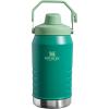 STANLEY IceFlow Fast Flow Jug with Handle 40 oz | Twist On Angled Spout Lid | Leakproof for Travel and Sports | Insulated Stainless Steel | BPA-Free | Polar(Alpine)