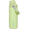 Stanley IceFlow Fast Flow Water Bottle | Angled Spout Lid | Lightweight & Leakproof for Travel & Sports | Insulated Stainless Steel | BPA-Free(Citron)