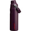 Stanley IceFlow Fast Flow Water Bottle | Angled Spout Lid | Lightweight & Leakproof for Travel & Sports | Insulated Stainless Steel | BPA-Free(Plum)