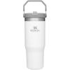 Stanley IceFlow Flip Straw Tumbler with Handle 30 oz | Twist On Lid and Flip Up Straw | Leak Resistant Water Bottle | Insulated Stainless Steel |BPA-Free | Polar