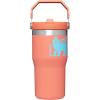 Stanley Classic IceFlow Flip Straw Tumbler for Kids (8 or Above), 20oz, Stan the Bear Stainless Steel Tumbler with Double-Wall Vacuum Insulation(Grapefruit Cub)