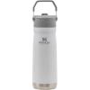 STANLEY IceFlow Flip Straw Water Bottle 22 oz | Built-In Straw for Travel and Sports | Lightweight and Leak Resistant | Insulated Stainless Steel | BPA-Free | Polar(Polar (1.0))