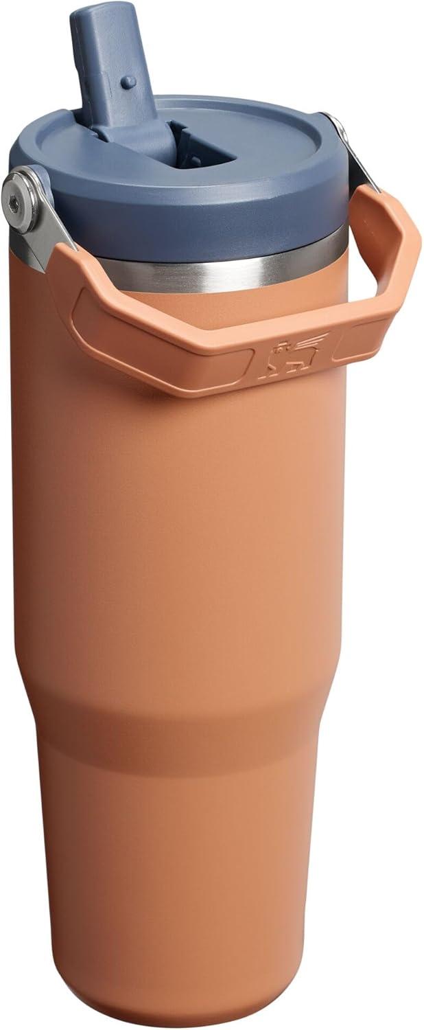 imageSTANLEY IceFlow 20 Flip Straw Tumbler with Handle 20 oz Twist On Lid and Flip Up Straw Leak Resistant Water Bottle Insulated Stainless Steel BPAFree AzureToast