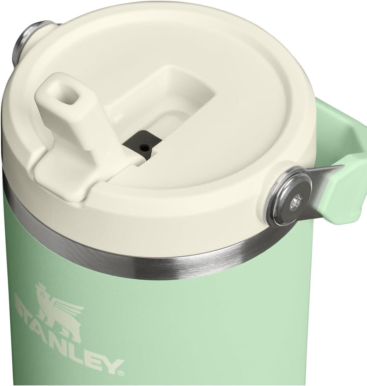 imageSTANLEY IceFlow 20 Flip Straw Tumbler with Handle 20 oz Twist On Lid and Flip Up Straw Leak Resistant Water Bottle Insulated Stainless Steel BPAFree AzurePistachio