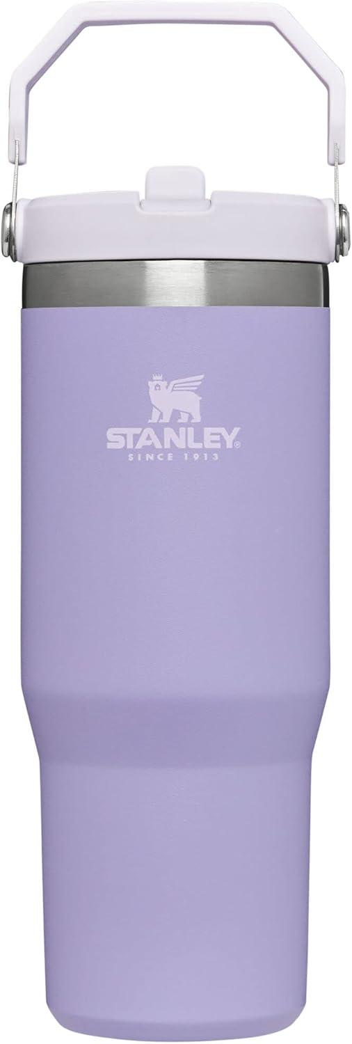 imageSTANLEY IceFlow 20 Flip Straw Tumbler with Handle 20 oz Twist On Lid and Flip Up Straw Leak Resistant Water Bottle Insulated Stainless Steel BPAFree AzureLavender