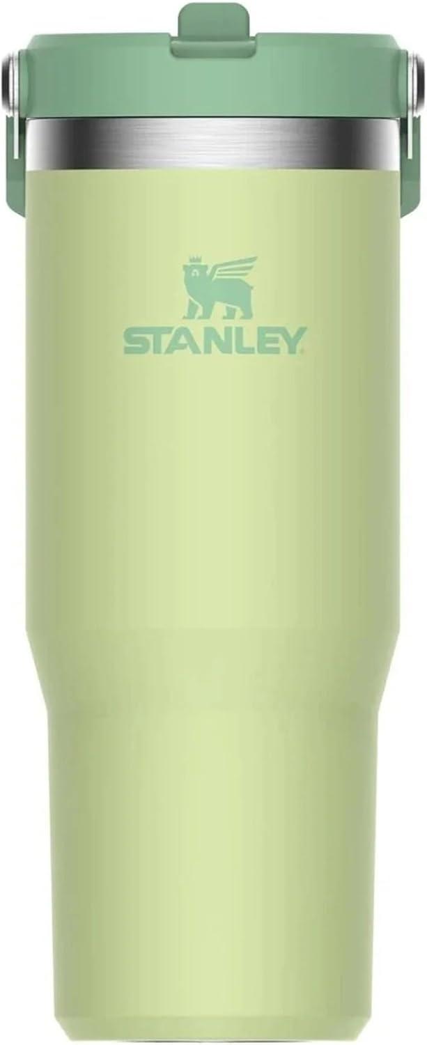 imageSTANLEY IceFlow 20 Flip Straw Tumbler with Handle 20 oz Twist On Lid and Flip Up Straw Leak Resistant Water Bottle Insulated Stainless Steel BPAFree AzureCitron