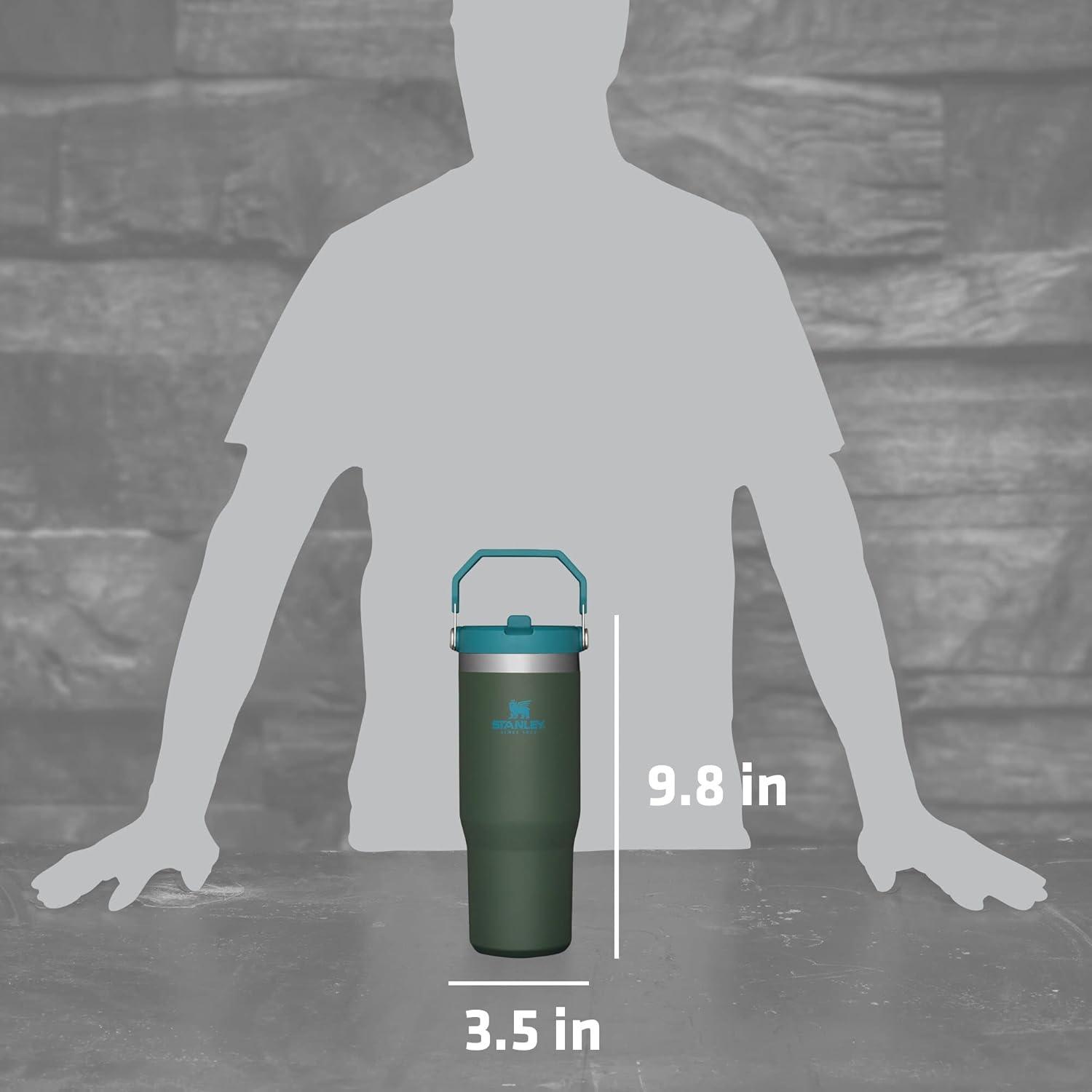 imageSTANLEY IceFlow 20 Flip Straw Tumbler with Handle 20 oz Twist On Lid and Flip Up Straw Leak Resistant Water Bottle Insulated Stainless Steel BPAFree AzureSpirulina