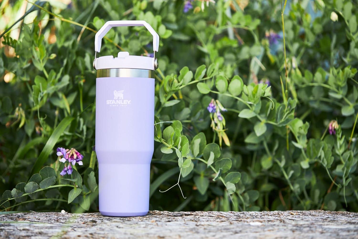 imageSTANLEY IceFlow 20 Flip Straw Tumbler with Handle 20 oz Twist On Lid and Flip Up Straw Leak Resistant Water Bottle Insulated Stainless Steel BPAFree AzureLavender
