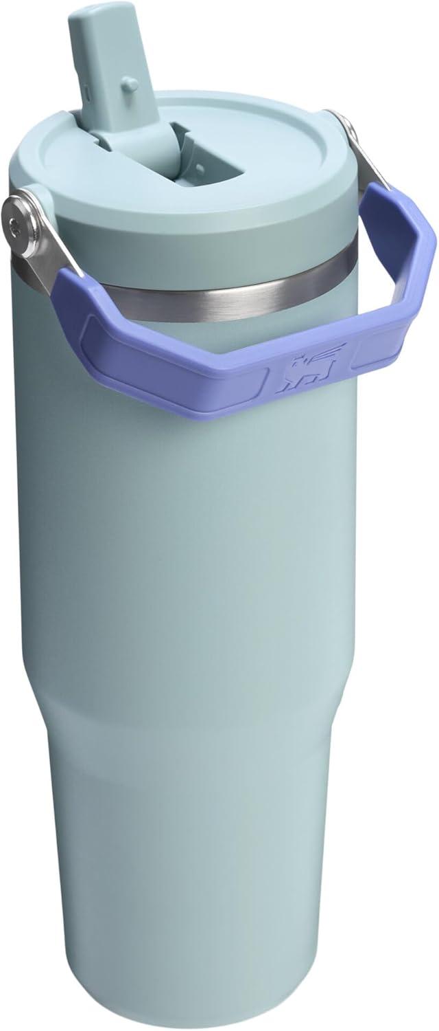imageSTANLEY IceFlow 20 Flip Straw Tumbler with Handle 20 oz Twist On Lid and Flip Up Straw Leak Resistant Water Bottle Insulated Stainless Steel BPAFree AzureExclusive Blue Catus