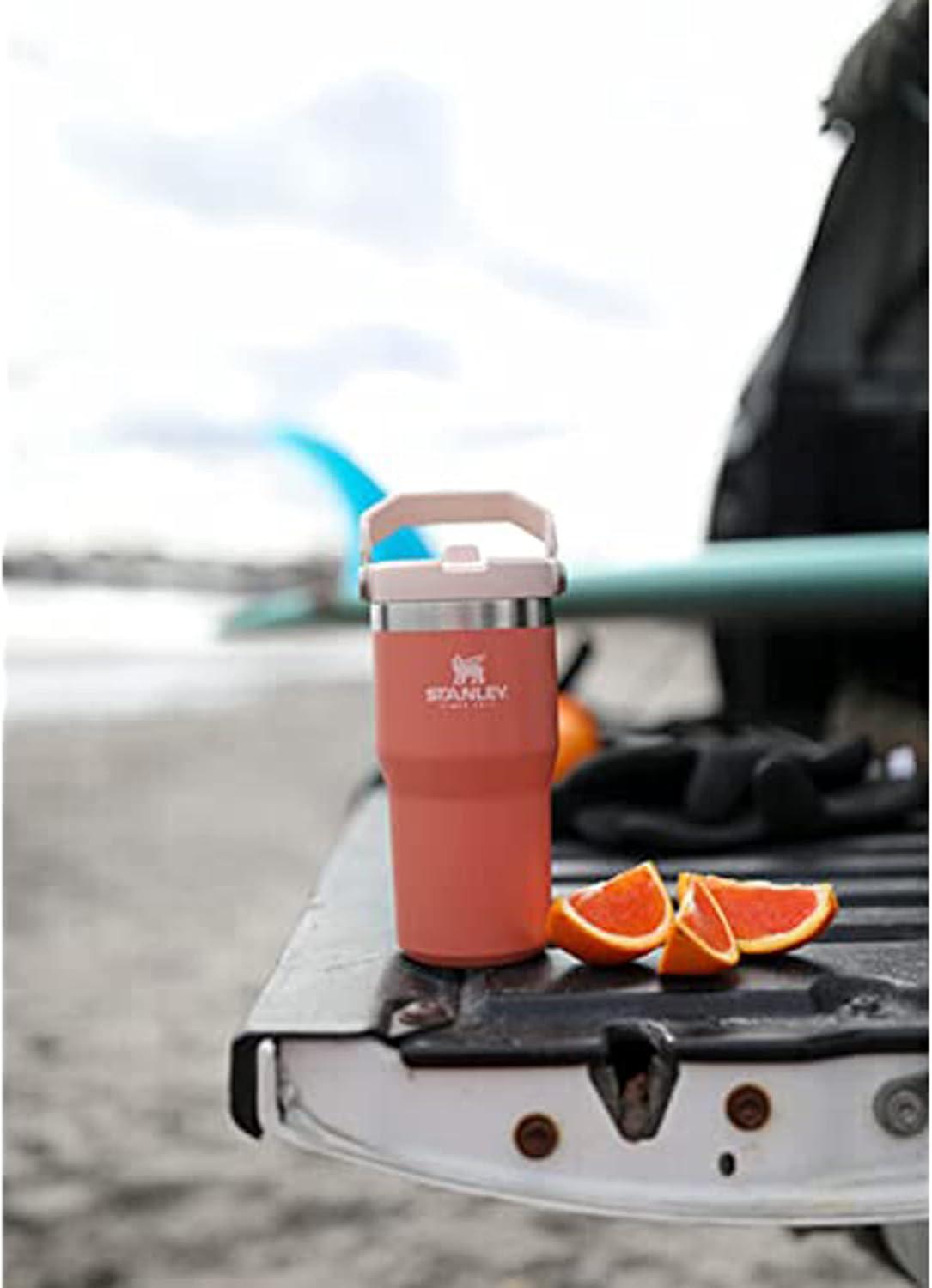 imageSTANLEY IceFlow 20 Flip Straw Tumbler with Handle 20 oz Twist On Lid and Flip Up Straw Leak Resistant Water Bottle Insulated Stainless Steel BPAFree AzureGrapefruit