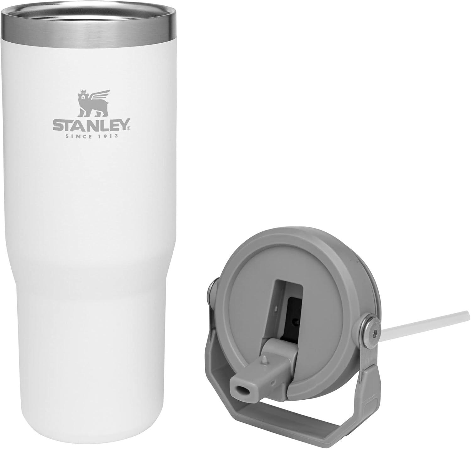 imageSTANLEY IceFlow 20 Flip Straw Tumbler with Handle 20 oz Twist On Lid and Flip Up Straw Leak Resistant Water Bottle Insulated Stainless Steel BPAFree AzurePolar