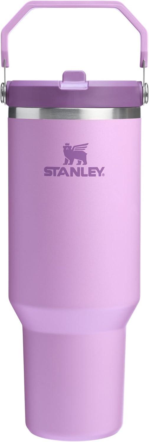 imageSTANLEY IceFlow 20 Flip Straw Tumbler with Handle 20 oz Twist On Lid and Flip Up Straw Leak Resistant Water Bottle Insulated Stainless Steel BPAFree AzureLilac