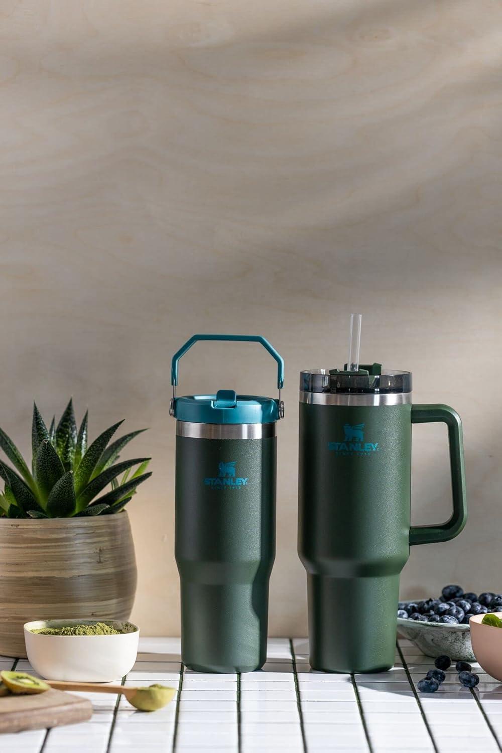 imageSTANLEY IceFlow 20 Flip Straw Tumbler with Handle 20 oz Twist On Lid and Flip Up Straw Leak Resistant Water Bottle Insulated Stainless Steel BPAFree AzureSpirulina