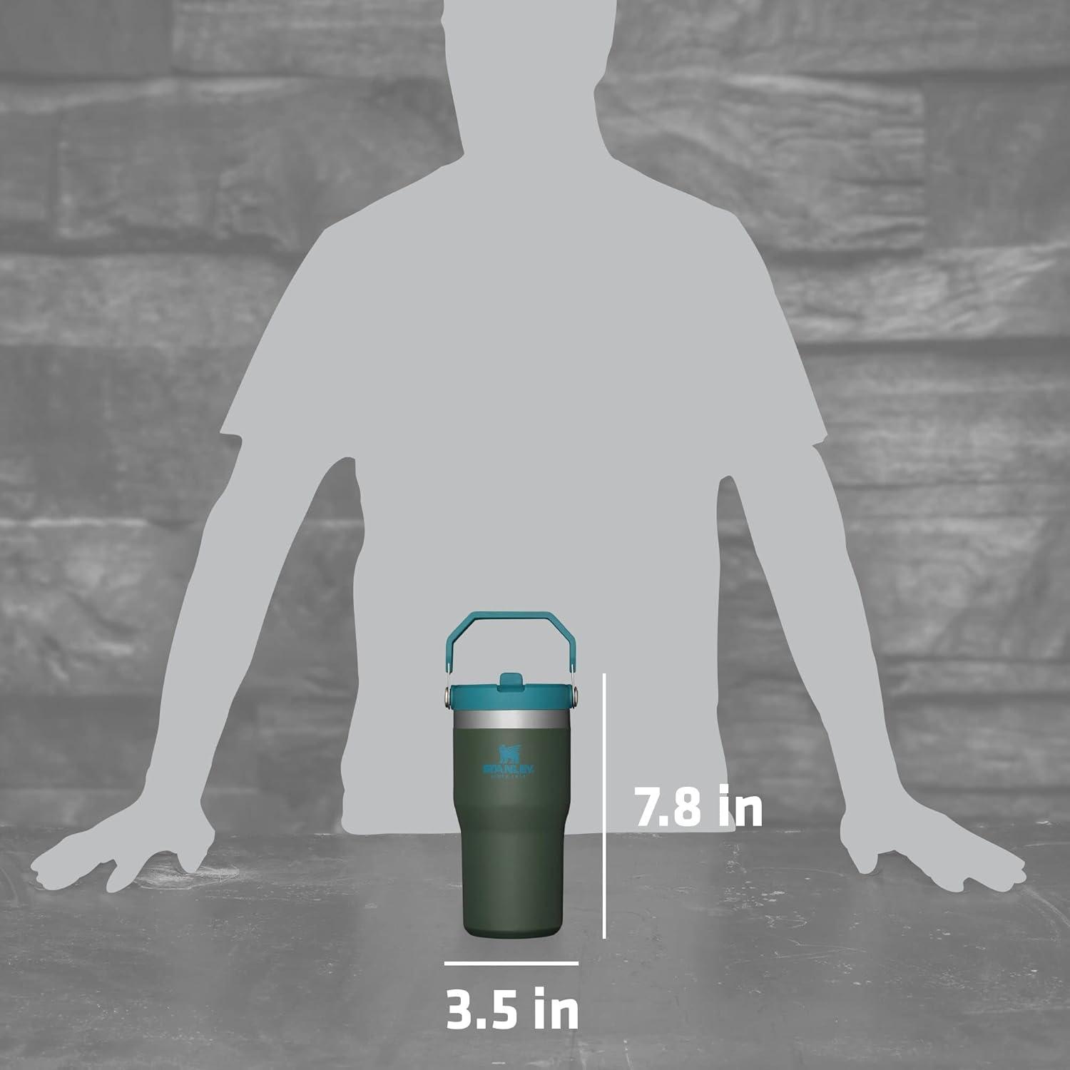 imageSTANLEY IceFlow 20 Flip Straw Tumbler with Handle 20 oz Twist On Lid and Flip Up Straw Leak Resistant Water Bottle Insulated Stainless Steel BPAFree AzureSpirulina