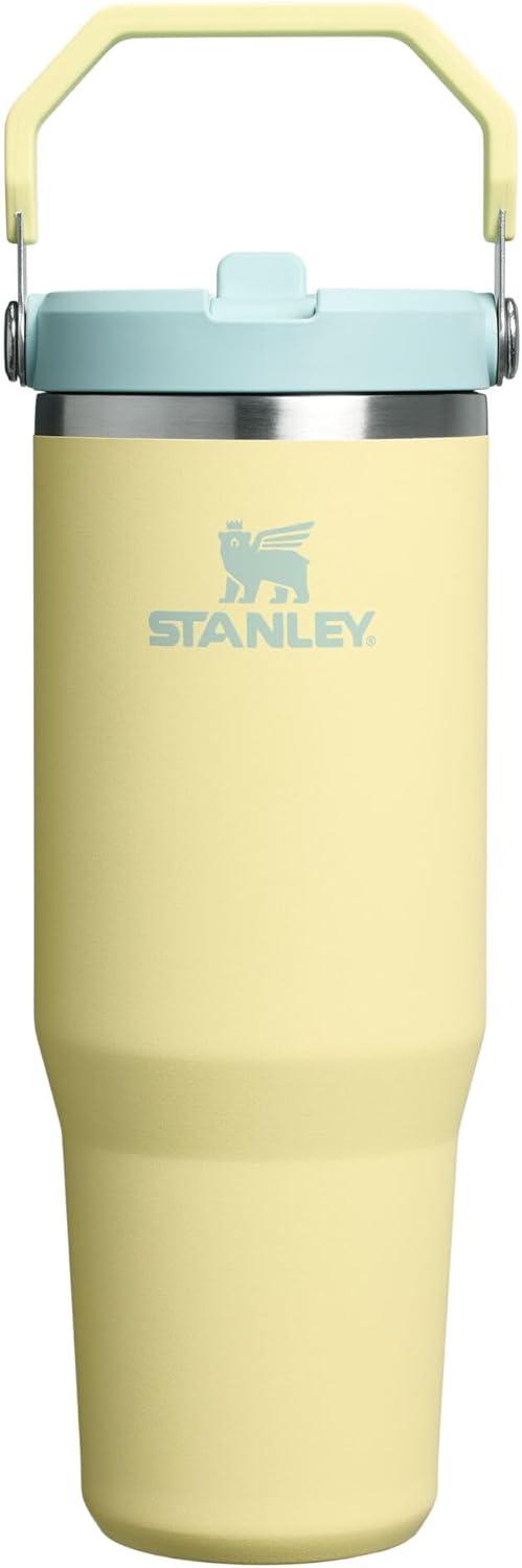 imageSTANLEY IceFlow 20 Flip Straw Tumbler with Handle 20 oz Twist On Lid and Flip Up Straw Leak Resistant Water Bottle Insulated Stainless Steel BPAFree AzurePomelo