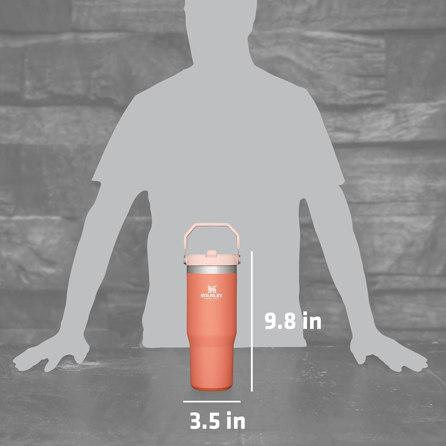 imageSTANLEY IceFlow 20 Flip Straw Tumbler with Handle 20 oz Twist On Lid and Flip Up Straw Leak Resistant Water Bottle Insulated Stainless Steel BPAFree AzureGrapefruit
