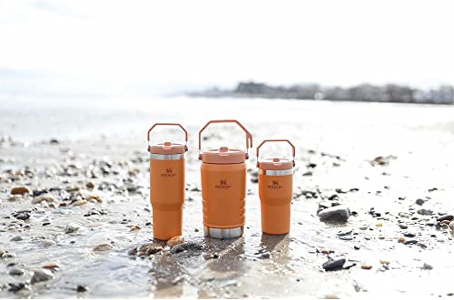 imageSTANLEY IceFlow 20 Flip Straw Tumbler with Handle 20 oz Twist On Lid and Flip Up Straw Leak Resistant Water Bottle Insulated Stainless Steel BPAFree AzureOchre