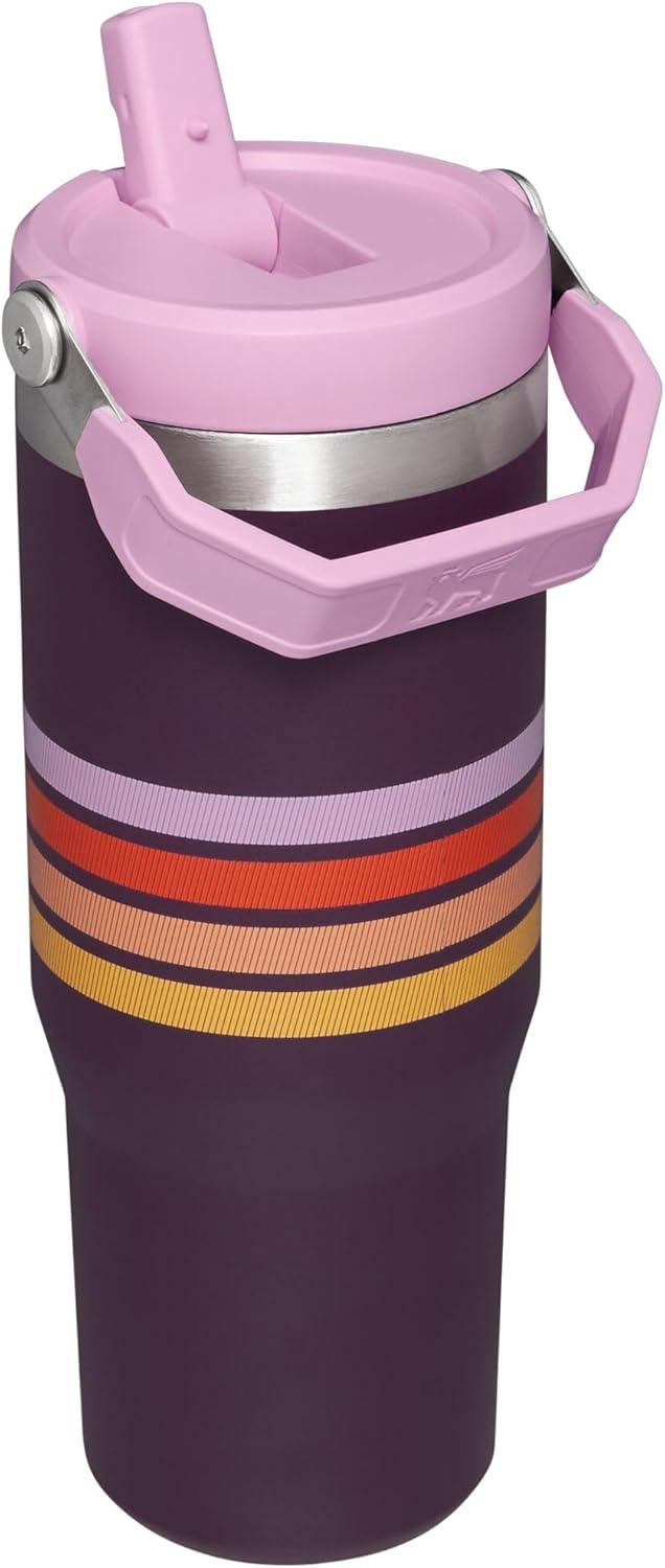 imageSTANLEY IceFlow 20 Flip Straw Tumbler with Handle 20 oz Twist On Lid and Flip Up Straw Leak Resistant Water Bottle Insulated Stainless Steel BPAFree AzurePlum Stripe